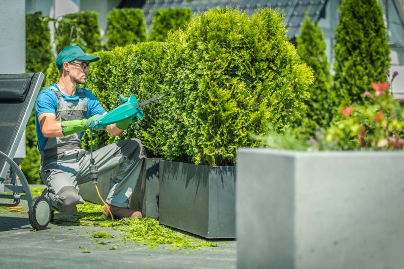 Shrub Trimming Service