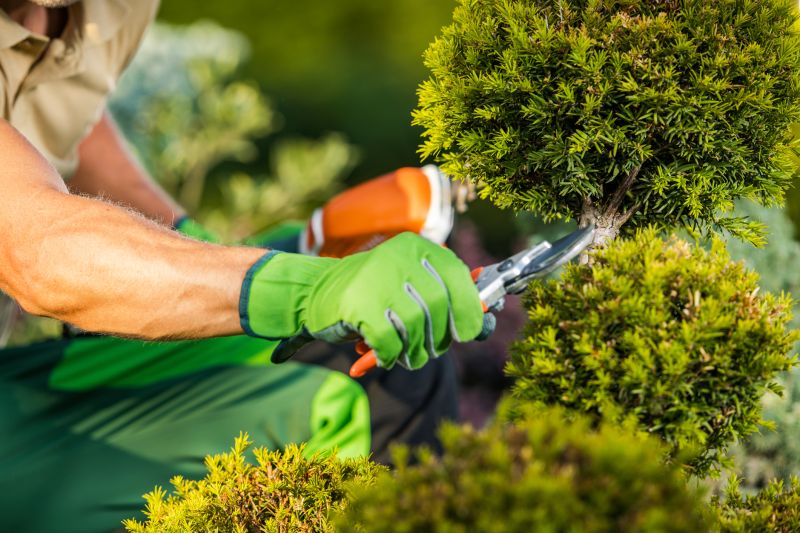 Contact About Shrub Care Service
