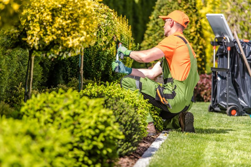 Shrub Care Service