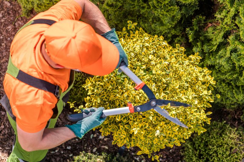 Shrub Care Service