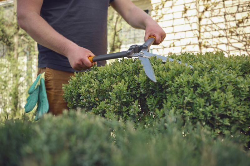 Shrub Care Service detail
