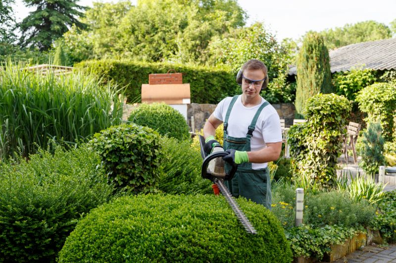 Shrub Care Service detail