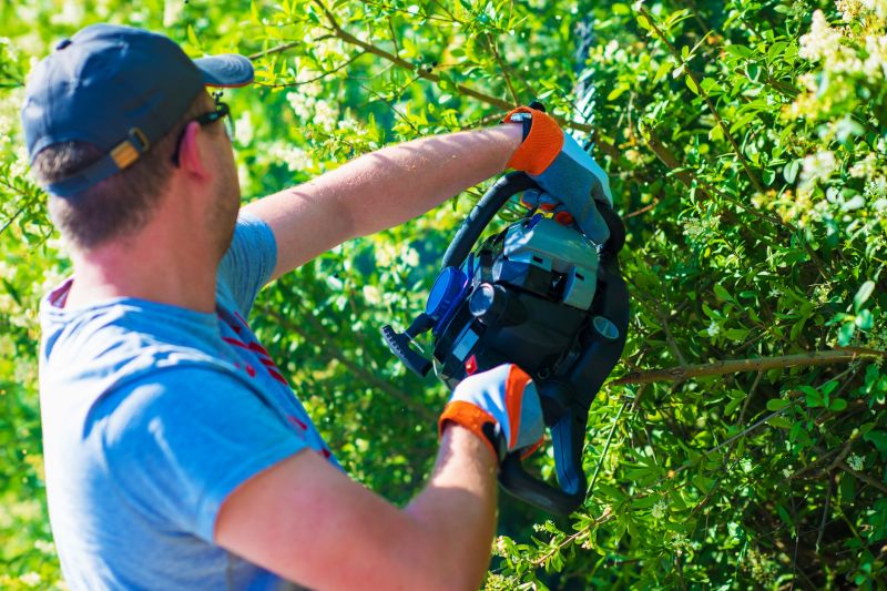 Shrub Care Service detail