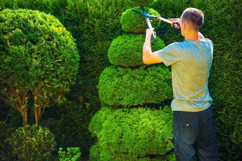 Shrub Care Service detail