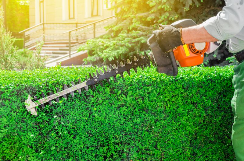 Hedge Removal Service in Aiken, SC