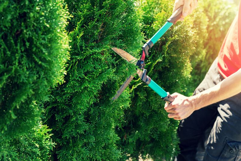 Hedge Shaping Service in Rockwall, TX