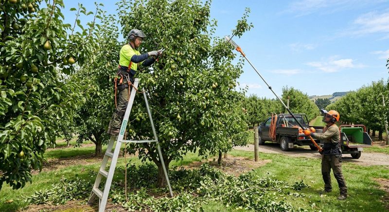 Orchard Tree Pruning in Pottstown, PA