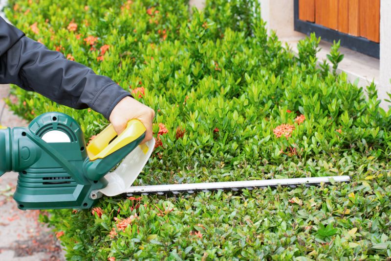 Shrub Trimming in Ventura County, CA